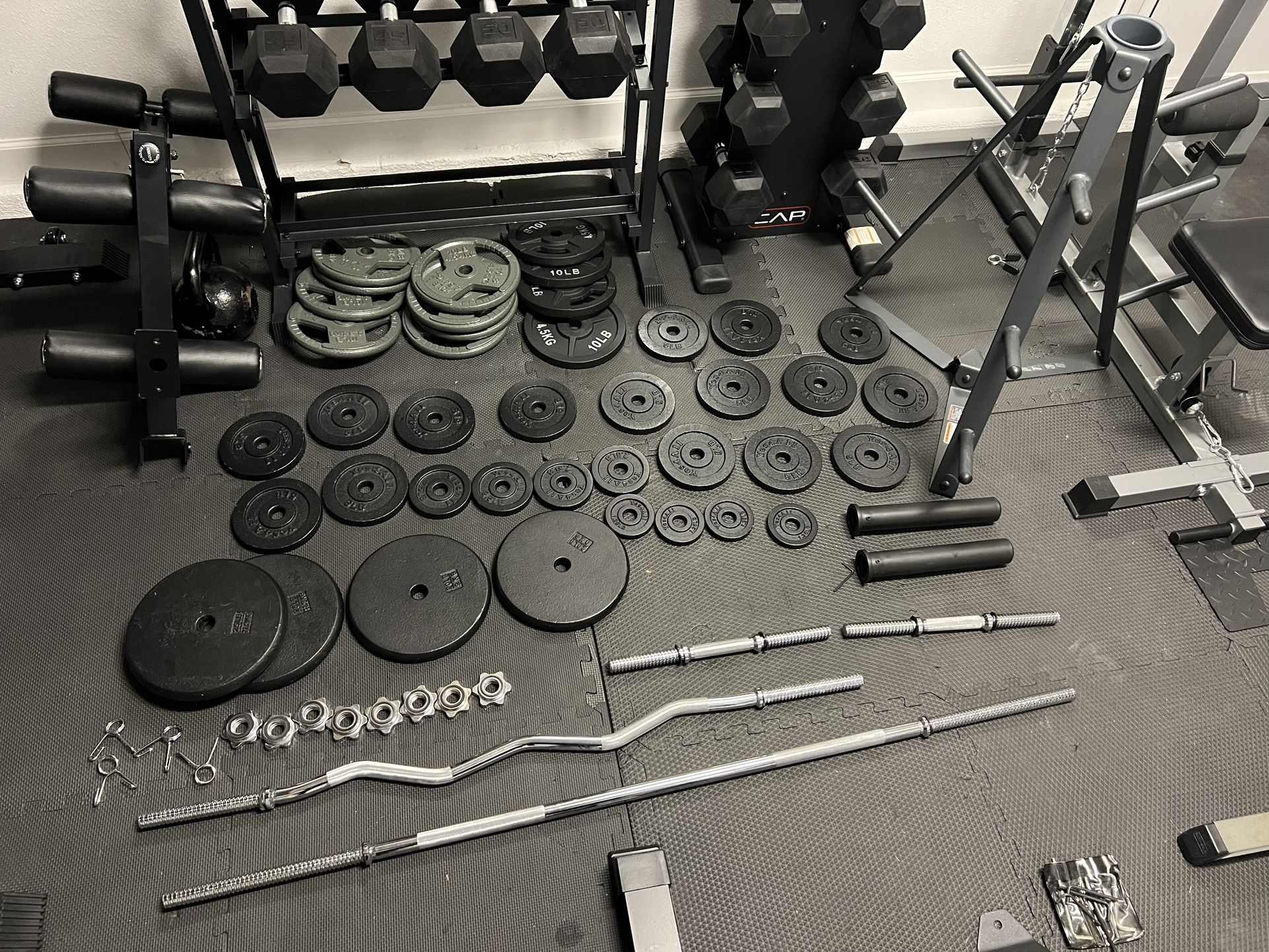 Standard one inch Weight Plates 305lbs, w/bars & tree