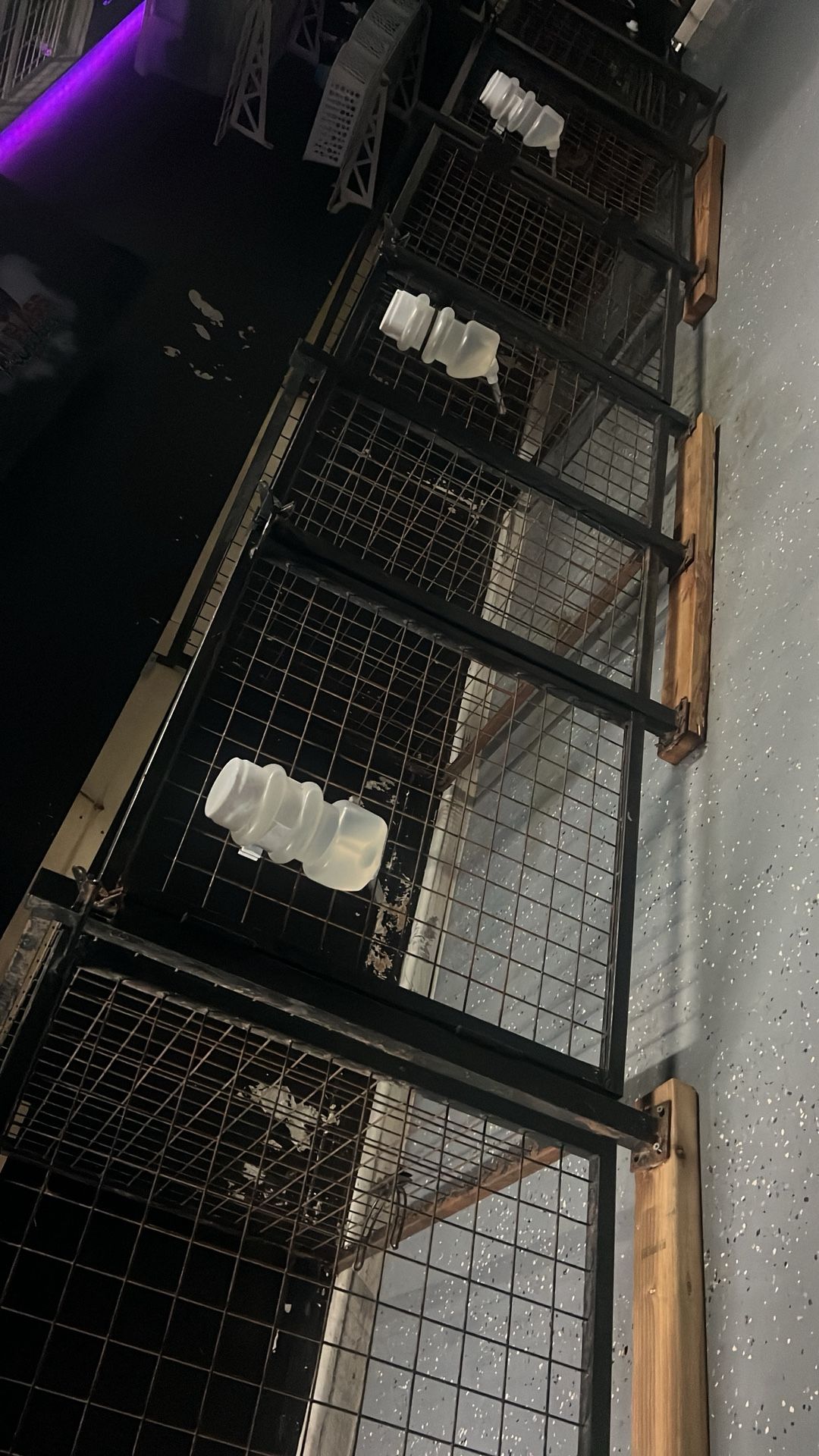 Kennel Stalls High Grade 