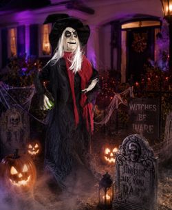 6 FT Animated Halloween Witch – Home Accents Holiday  – Works!