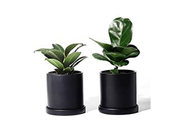  Ceramic Plant Pots with Saucers - 3.8" Flower Planter Indoor with Drainage Medium Container Minimalism Round - Set of 2, 