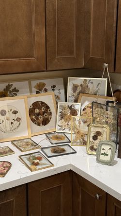 Pressed flowers in frame