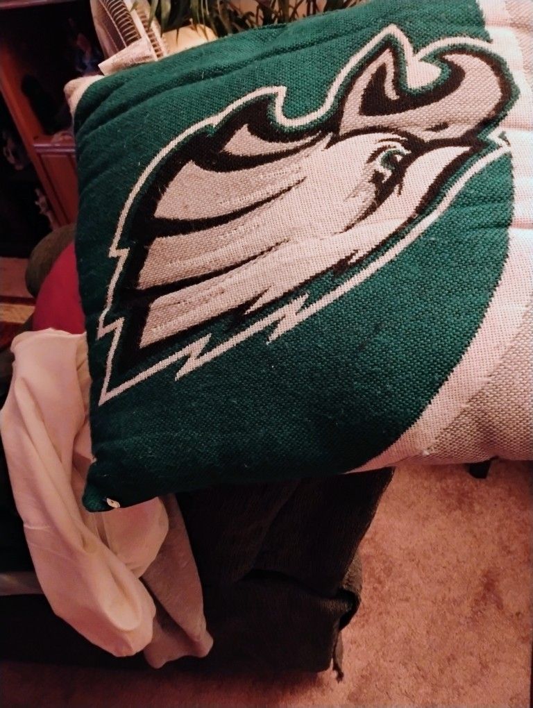 Eagle Pillow 