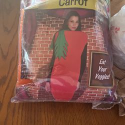 Carrot Costume 