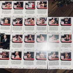 UFC Graded Trading Cards 1/100