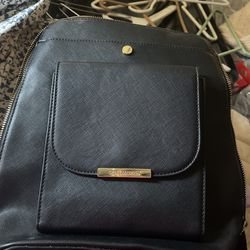 Steve Madden Bag/bag pack