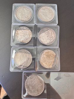 Lot of 7 Morgan Silver Dollars