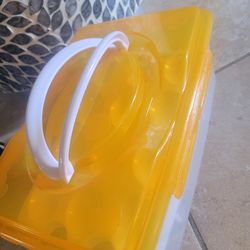 Egg Tray