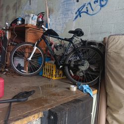 Moter Bike