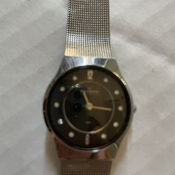Skagen  Ladies Watch 