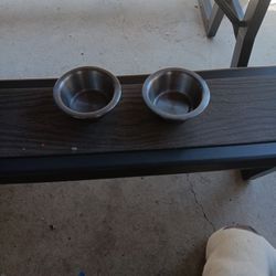 Dog Plates 