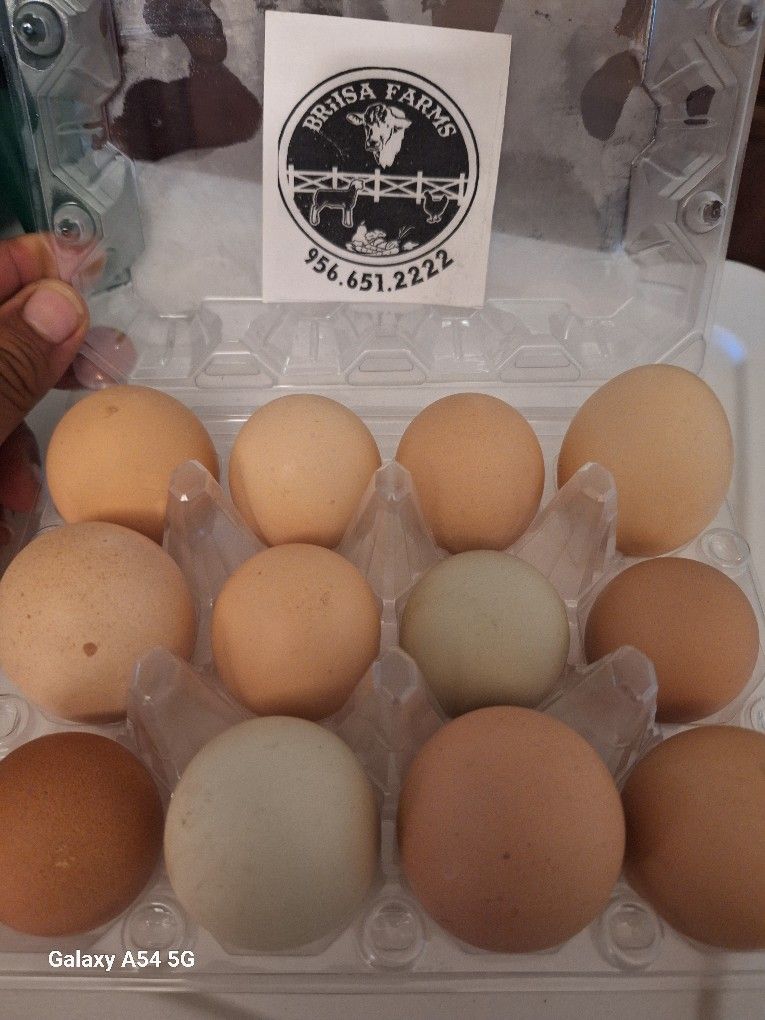 Farm Fresh Eggs