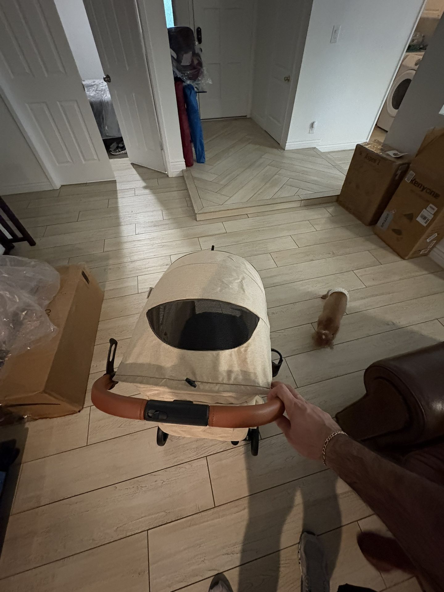 Kenyon Dog Stroller