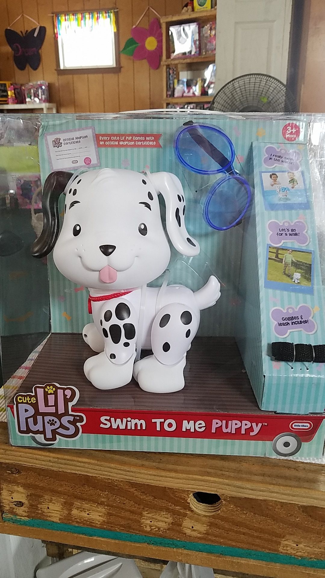 Swim to me puppy