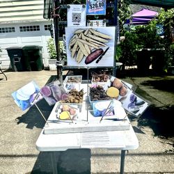  POTATO SEEDS to PLANT💯 ORGANIC SUPER SALE from our Local Puyallup Farm. 