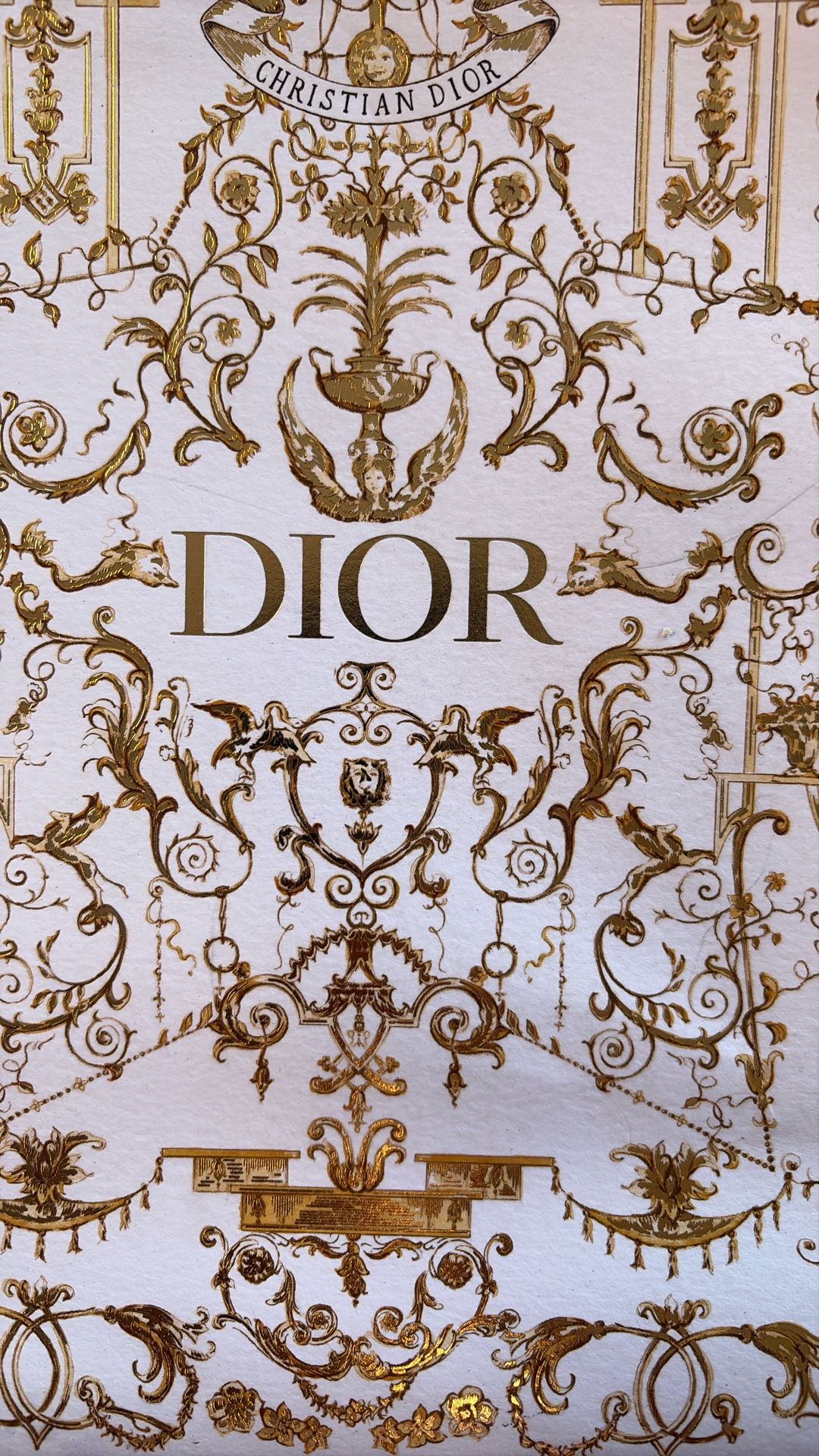 Dior Limited Edition Shopping Bag 2025