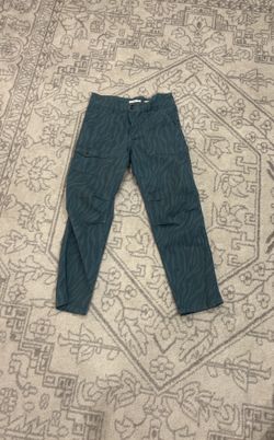Ladies Anthropologie Size 28