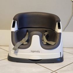 Ingenuity Booster Seat