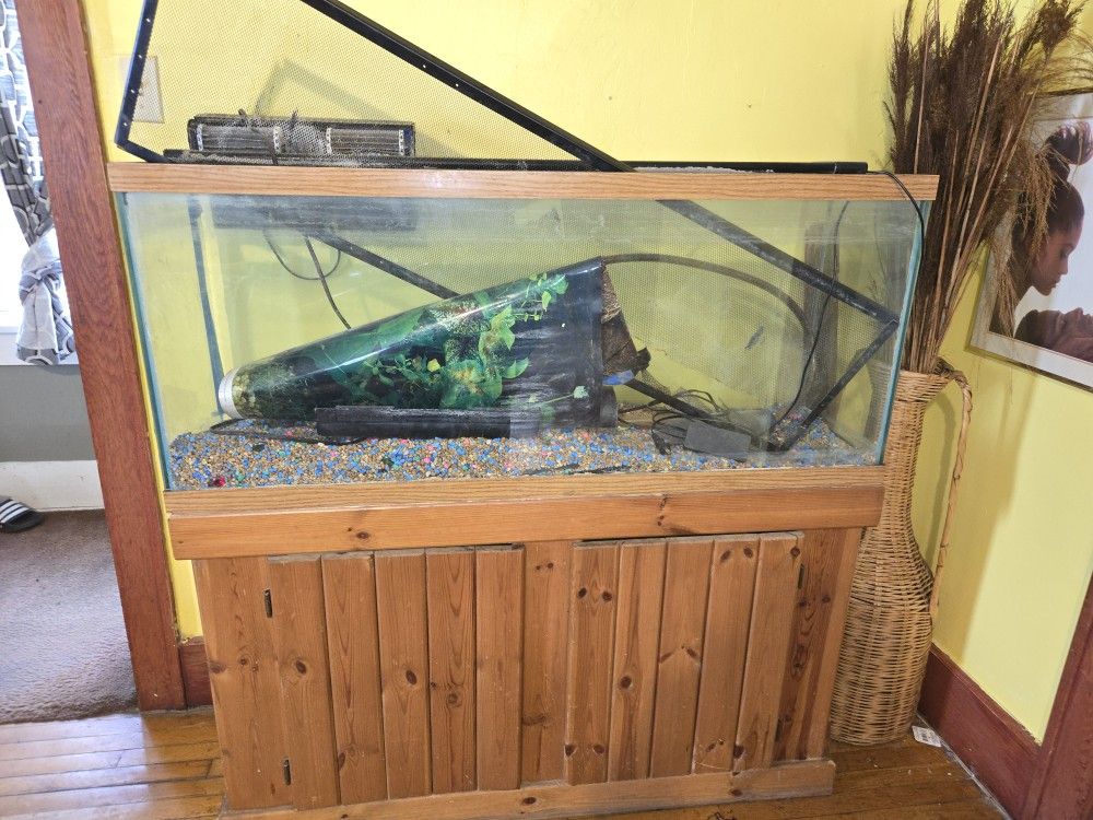 50 gotta fish bowl with all the accessories