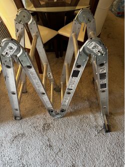 ladder multi purpose