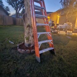 Werner 10ft Ladder For Sell