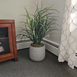 Fake Plant 