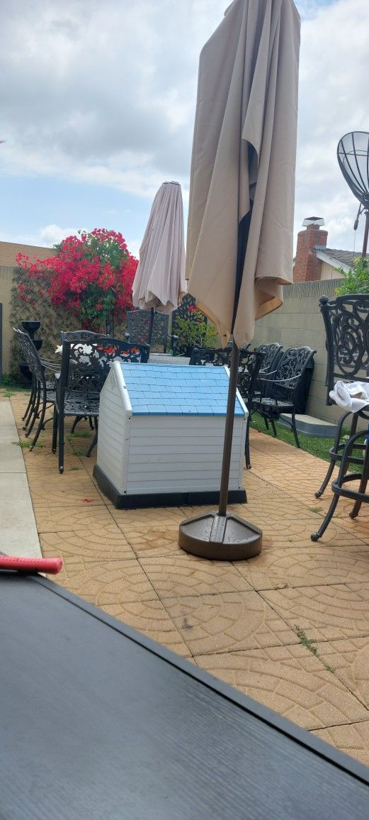 Big Dog House For Sale  Clean