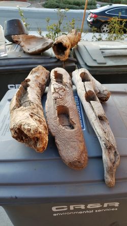 Wood planting. Driftwood for succulent arrangements