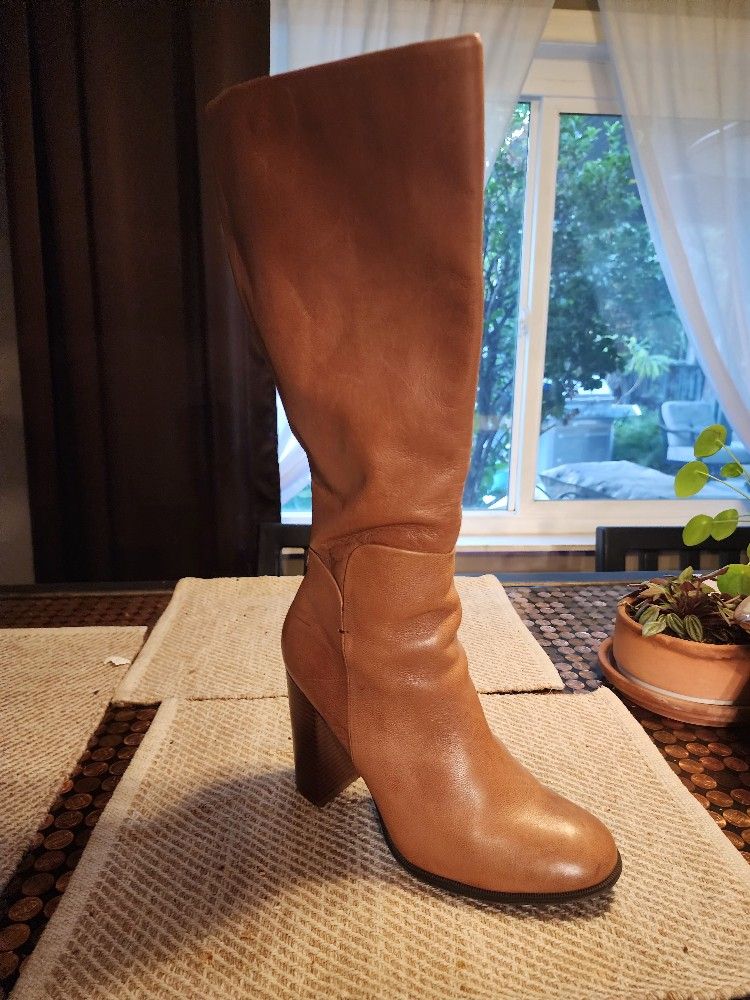 Liz & Co. Women's Boots