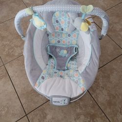 Ingenuity Baby Bouncer