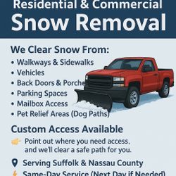 Snow Removal Snow Plow Truck Snow Blowers Salt