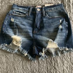Summer Shorts