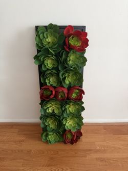 artificial succulents - frame