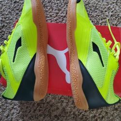 Puma Non Marking Shoes. 
