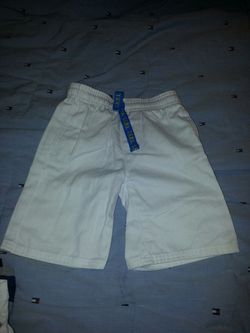 2t