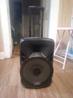 Black speaker