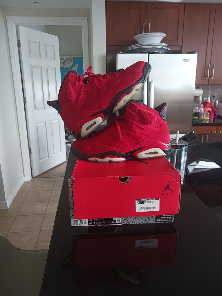 Air Jordan 6 Toro Bravo Size 10.5 