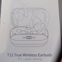 Earbuds