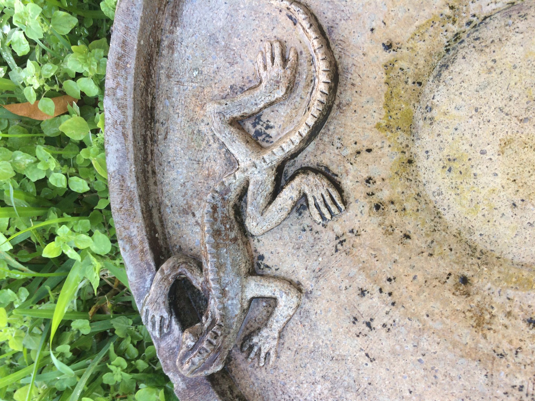 Lizard Birdbath TOP ONLY sold Concrete Made By Campania,All Products : American Fashion Style Bags On Sale