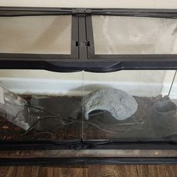 Reptile terrarium