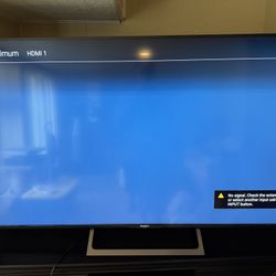 Sony Bravia 65” Tv