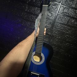 Guitar 