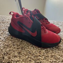 Nike Shoes Kids Size 5.5Y