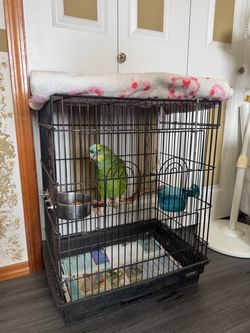 Parrots cages
