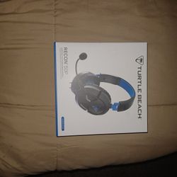 Turtle Beach Headset 