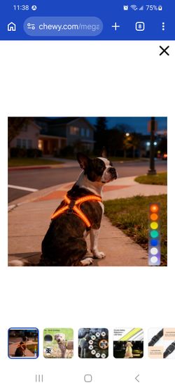 Brand New MEGAPAWS No-Pull Dog Harness with 8 Gear Color Changing LED Lights, Medium