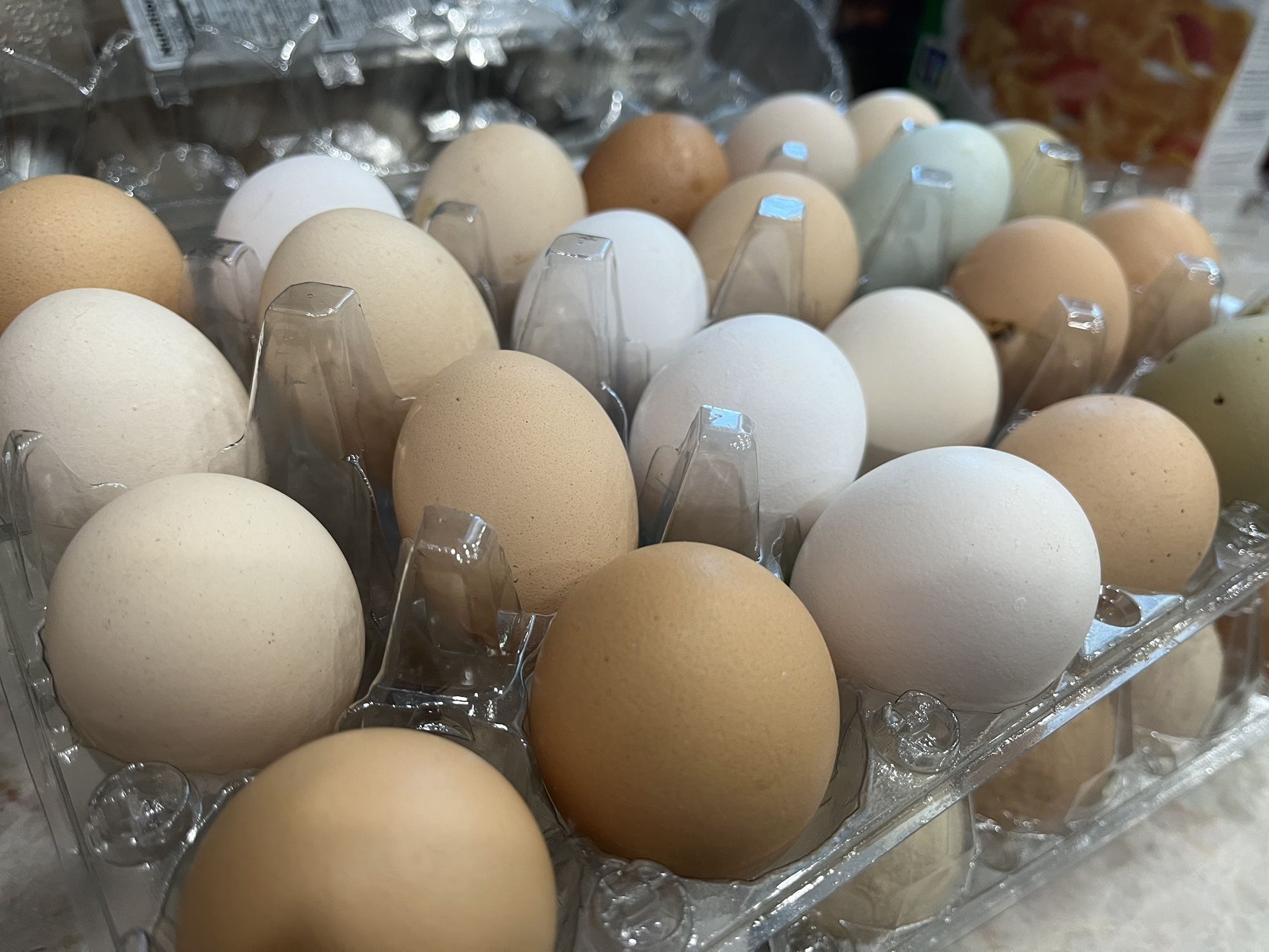 Fresh Eggs