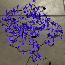 Halloween Lights 