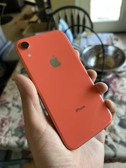 iPhone XR