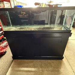 60 Gallon Tank And Stand Lids 