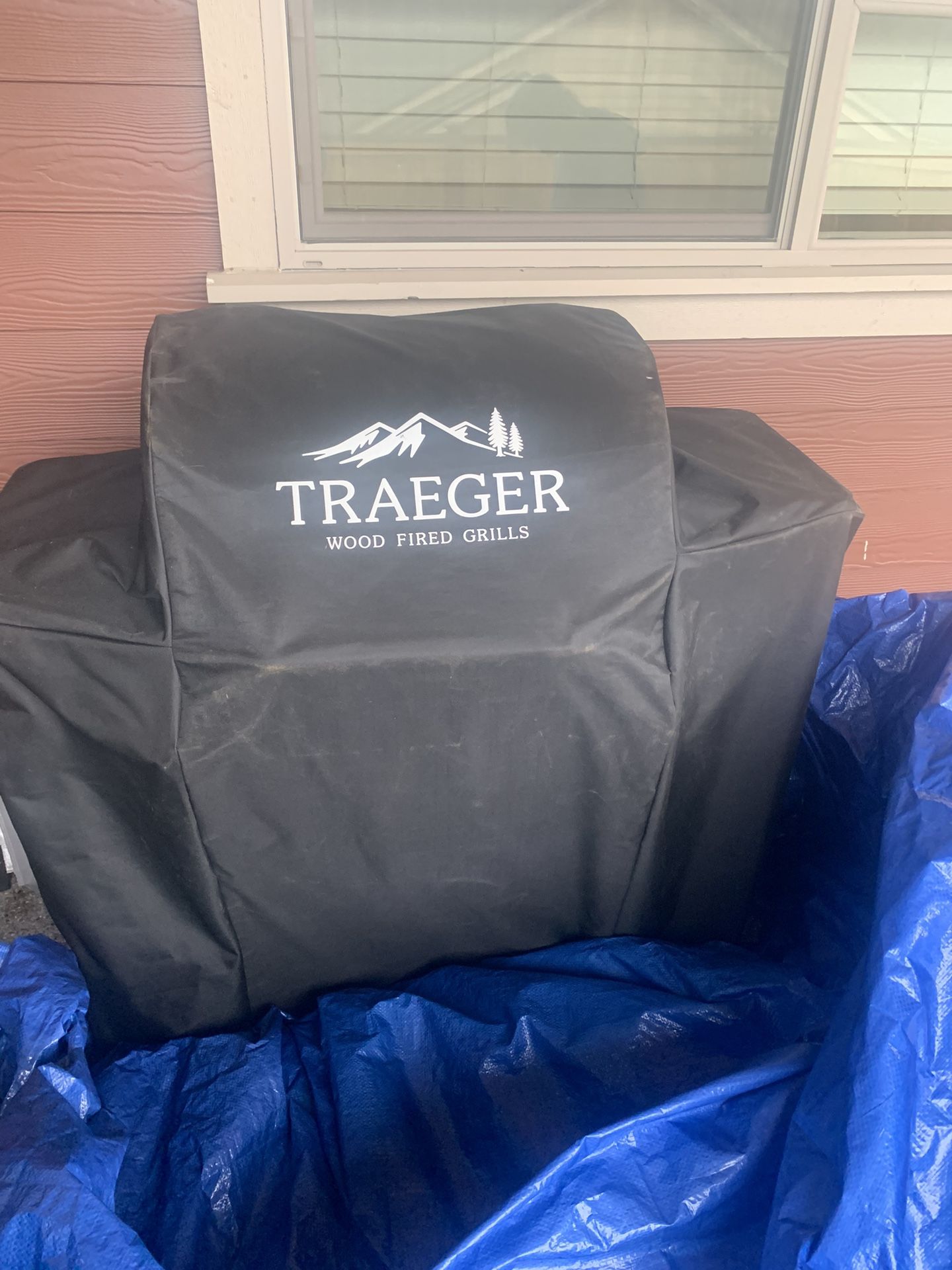 Traeger Costco Exclusive D2 Grill/Smoker